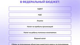 Чем регулируются региональные налоги в Нуга Бест