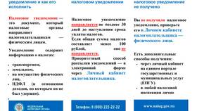 Что такое налоговое взыскание в Нуга Бест