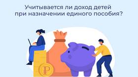 Что учитывается в доход семьи в Нуга Бест