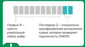 Что удостоверяет СНИЛС в Нуга Бест