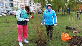 Экоакция или эко акция: как правильно писать в Нуга Бест