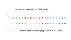 Где указан расчетный счет Тинькофф в Нуга Бест