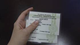 Как оформить СНИЛС новорожденному в Нуга Бест