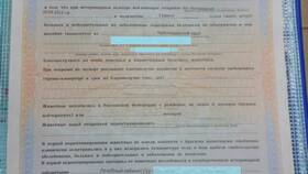 Как перевезти кошку в поезде РЖД в Нуга Бест