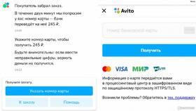 Как работает доставка Авито: полная инструкция в Нуга Бест