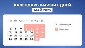 Как работают МФЦ в праздники 2025 года в Нуга Бест