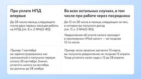 Как рассчитать налоги при работе на Ozon в Нуга Бест