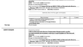 Как вернуть государственную пошлину в Нуга Бест