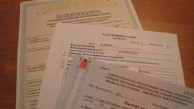 Как восстановить утерянные документы в Нуга Бест
