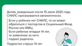 Как выглядит СНИЛС в 2024 году в Нуга Бест