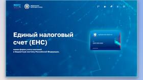 Положительное сальдо по ЕНС: что это означает в Нуга Бест