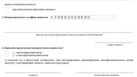 После открытия ИП: что делать дальше в Нуга Бест