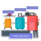 Тариф без ручной клади: что это значит